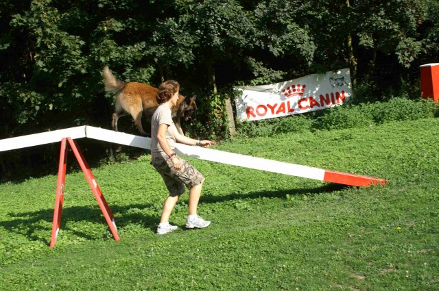 agility 2011-08